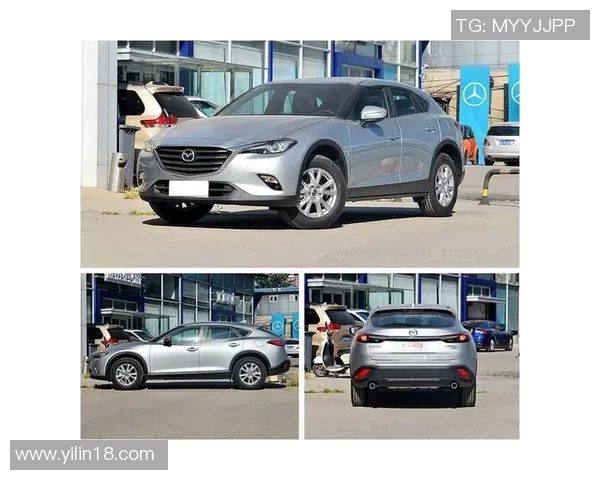 罗瑟汉姆与切菲尔德激战正酣谁能在这场对决中笑到最后